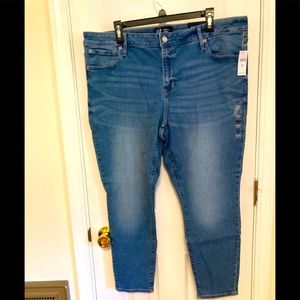 *NWT!* Gap Favorite Stretch Jeggings Jeans Size 18/24 Plus Size